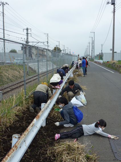 20120421 ひまわり五日市線沿い3