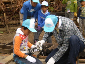 OLYMPUS DIGITAL CAMERA