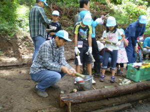 OLYMPUS DIGITAL CAMERA